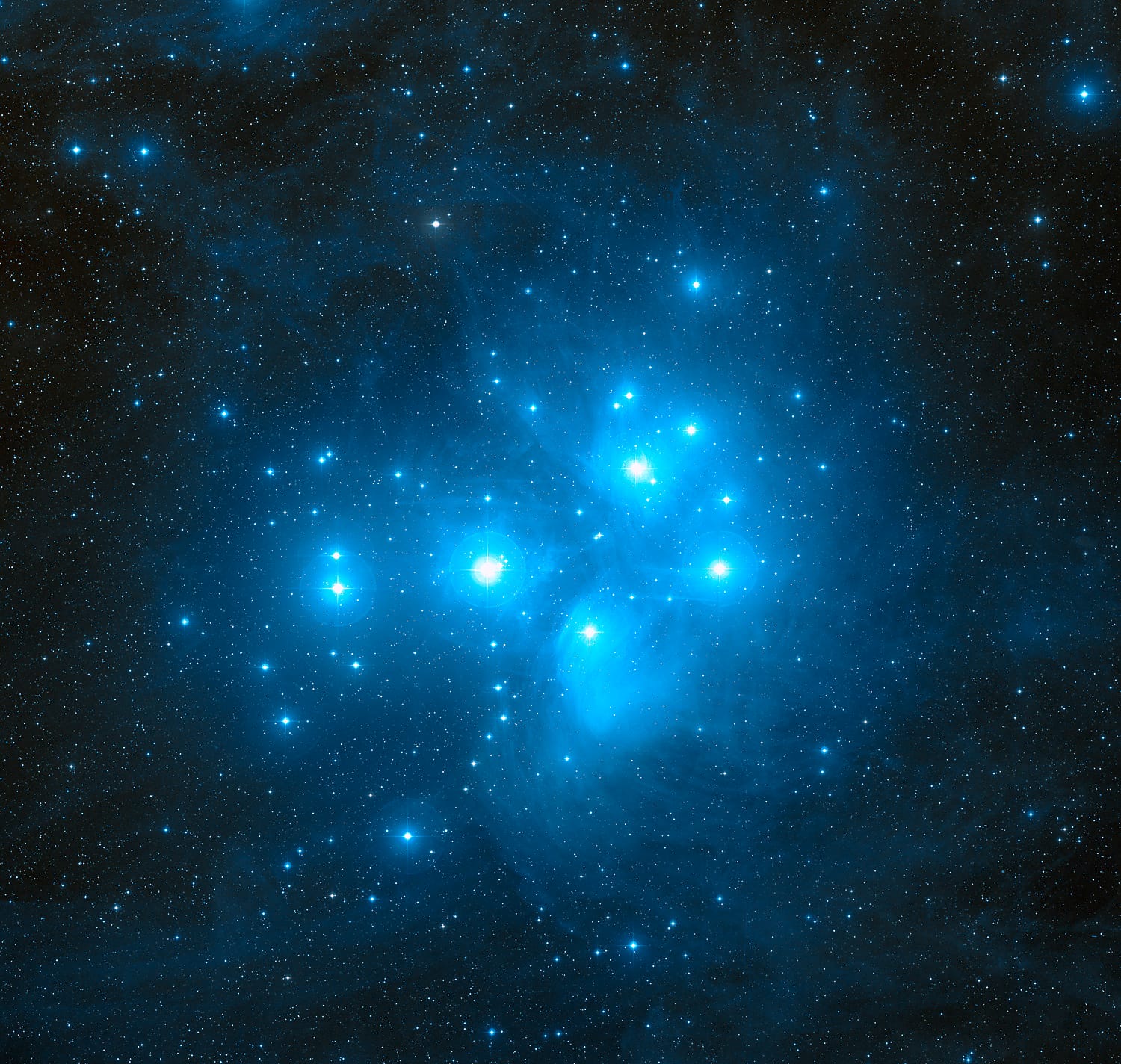 The Pleiades star cluster with its bright blue stars and surrounding reflection nebulosity