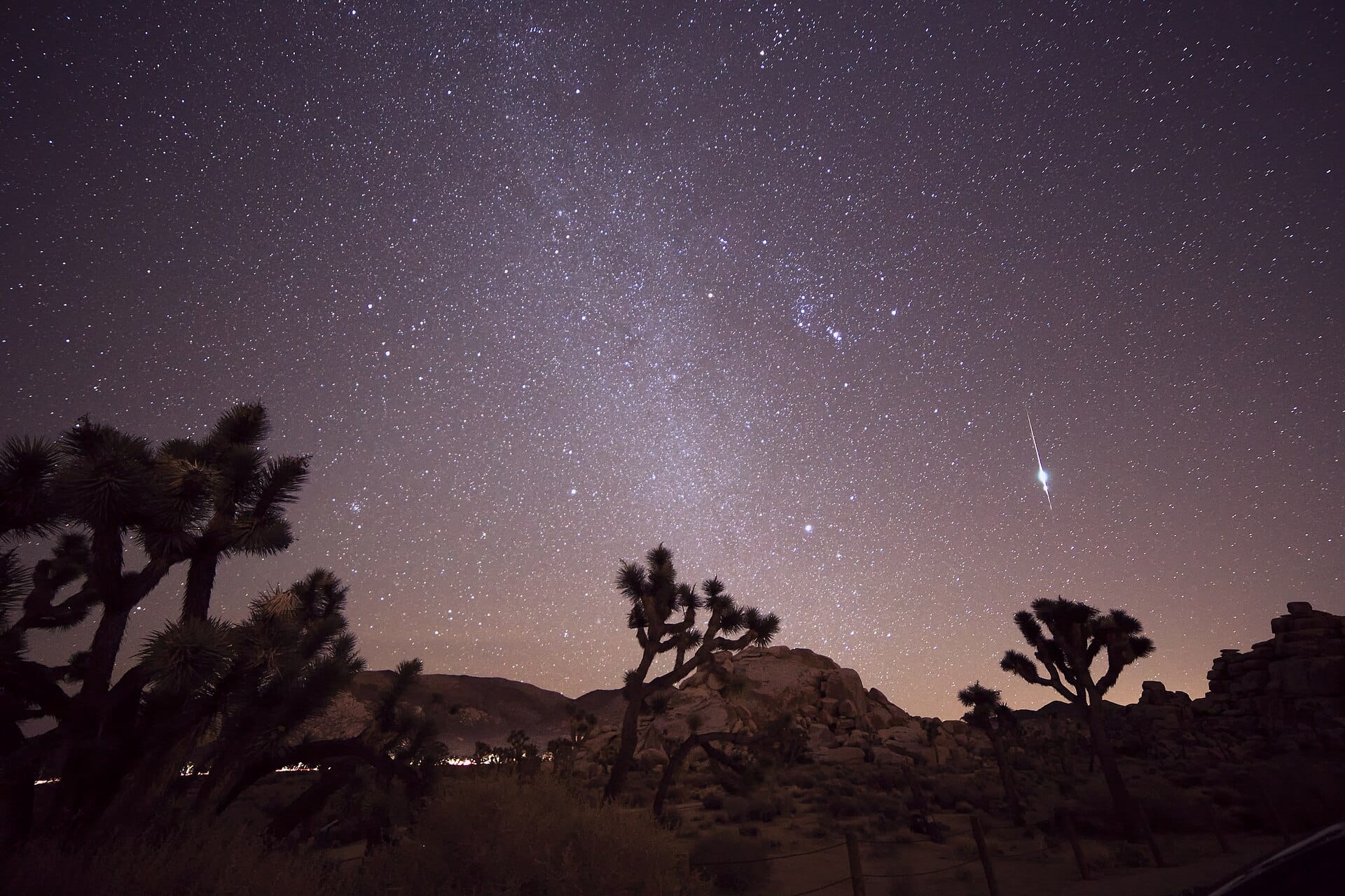 Bright Taurid fireball streaking across a starry desert sky above Joshua trees
